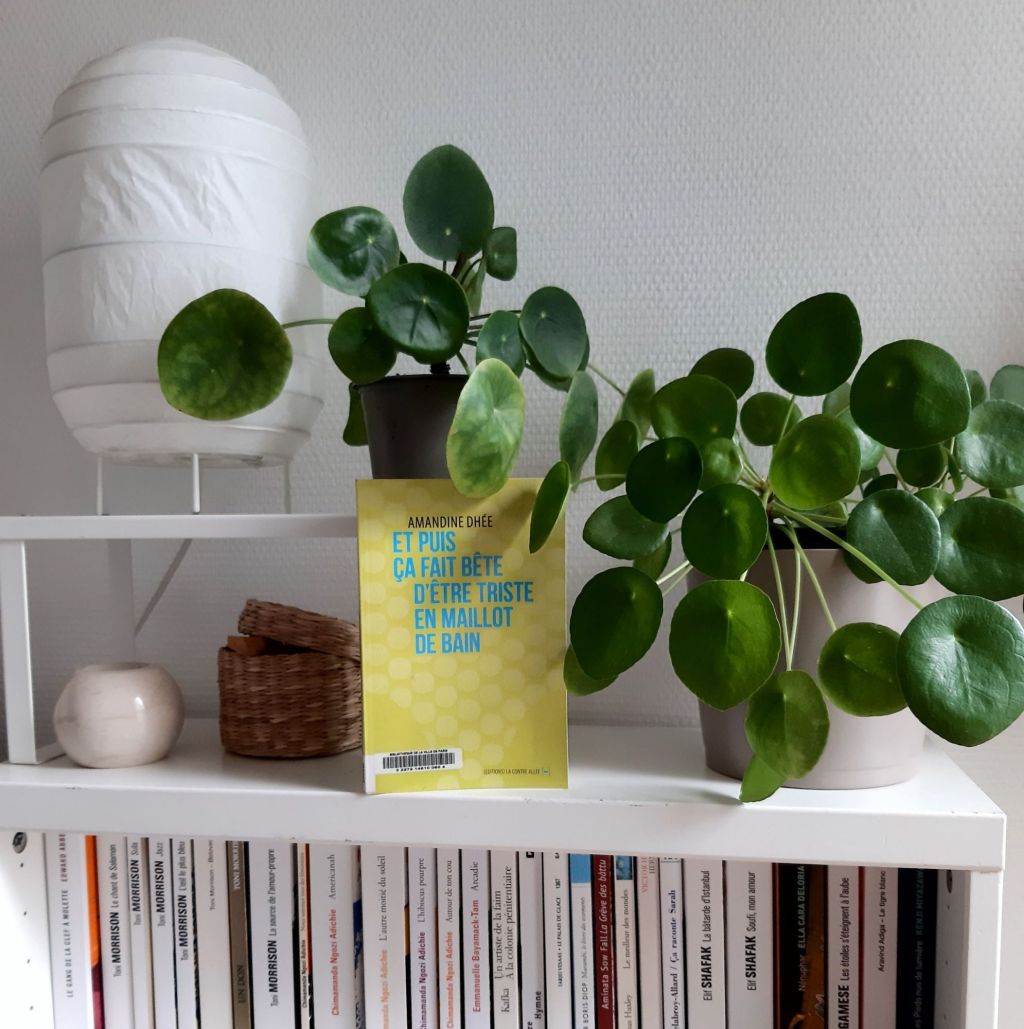 Et puis ça fait bête d&rsquo;être triste en maillot de bain / Amandine&nbsp;Dhée